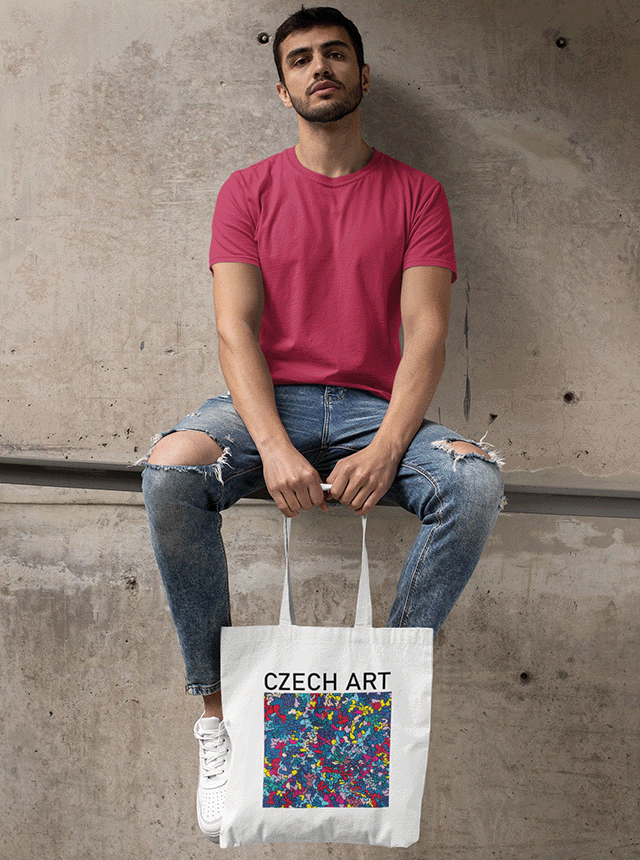 Kristovo vědomí - taška